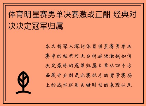 体育明星赛男单决赛激战正酣 经典对决决定冠军归属