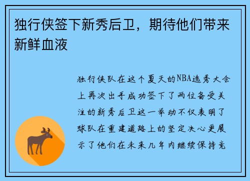 独行侠签下新秀后卫,期待他们带来新鲜血液